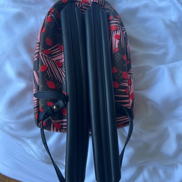 Louis Vuitton Backpack
